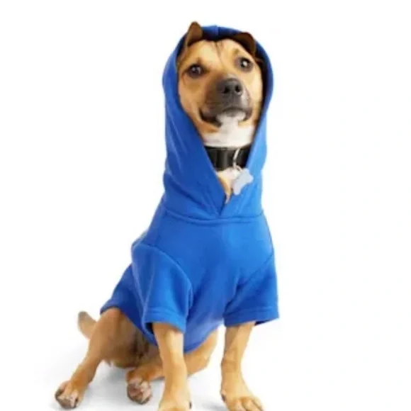 NWT Skater Pup hoodie XXS - Picture 5 of 9